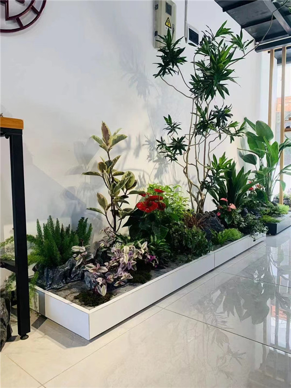 北京綠植租擺專業綠植租擺公司